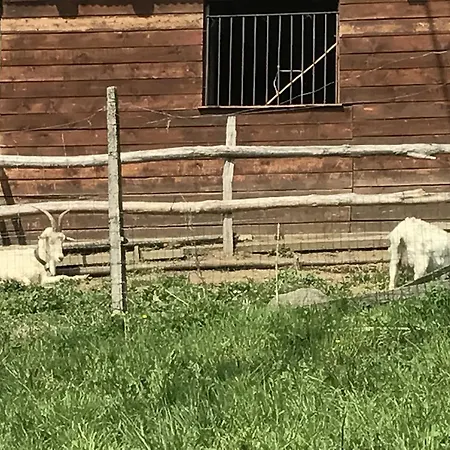 Сasa de vacaciones Casa Cesare